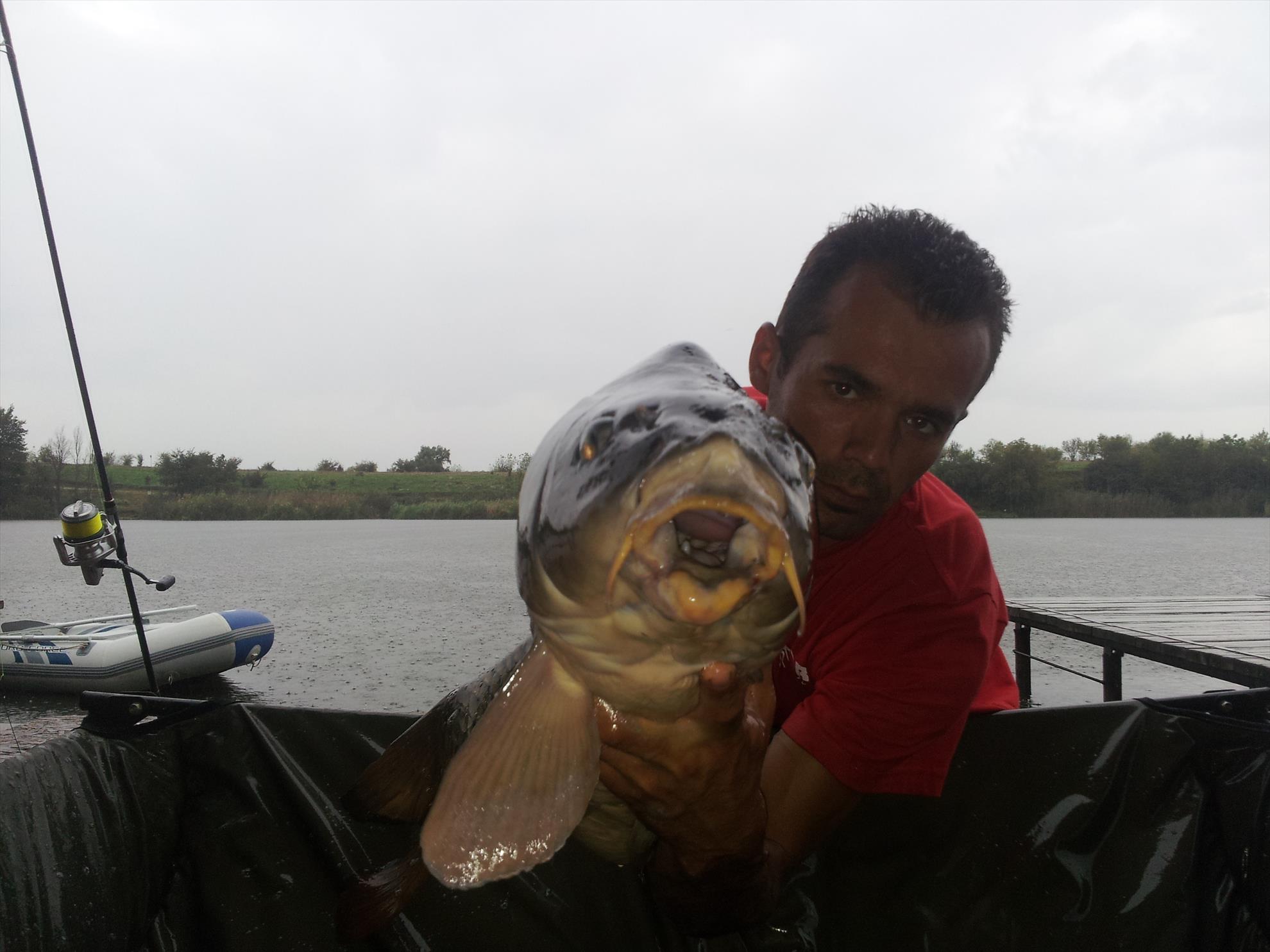 Tancabesti 31 aug- 7 sep  - 20140903183136.jpg